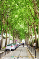 Montparnasse cemetery is one of the largest green space in Paris